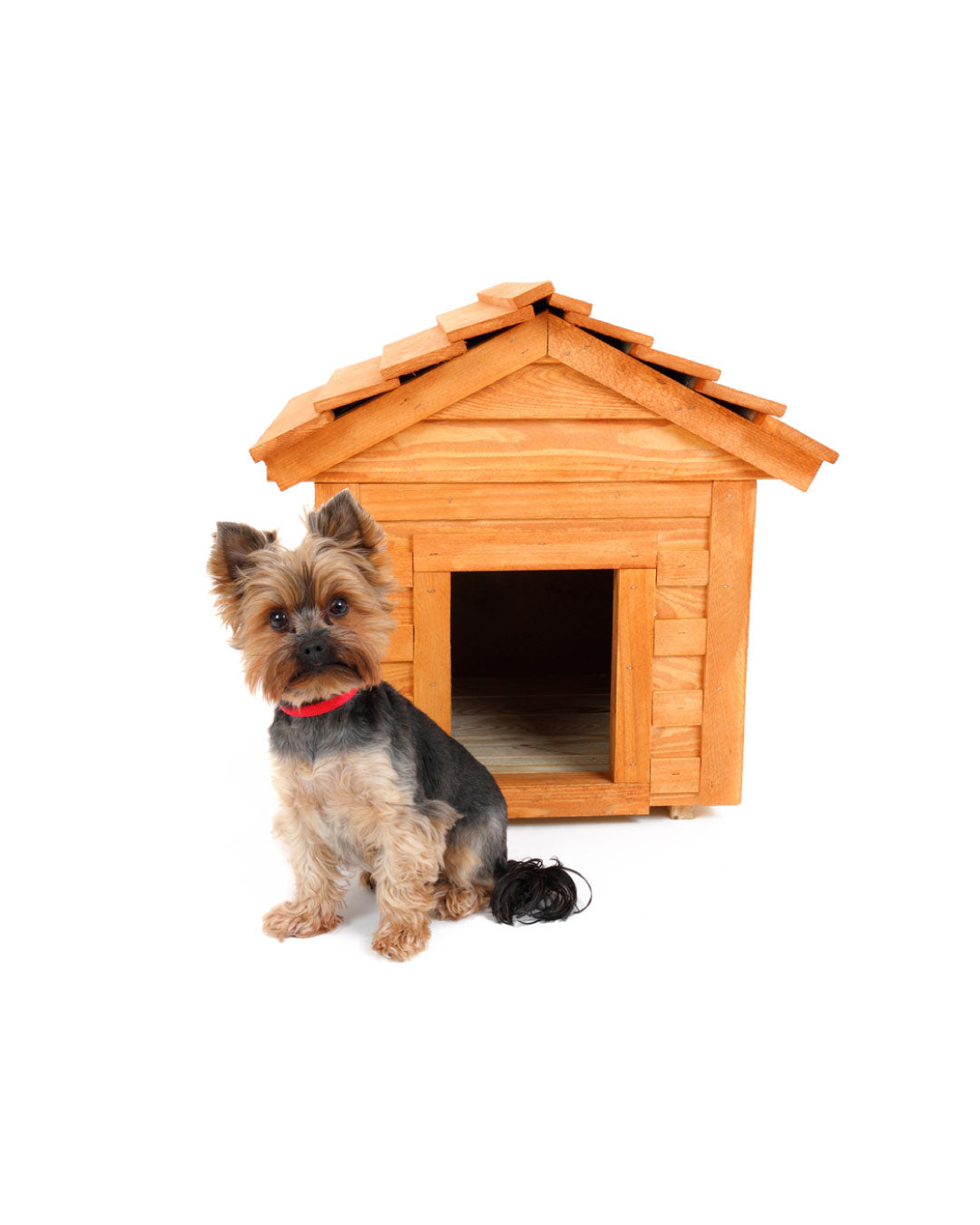 Casas Mascotas