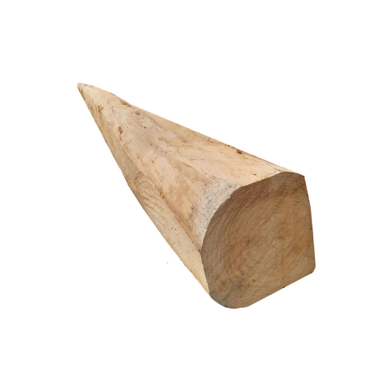 Viga Labrada